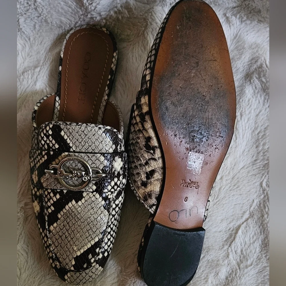 Coach Scotty Slide Mule Snake Print Silver Logo Women's Size 6 Shoes